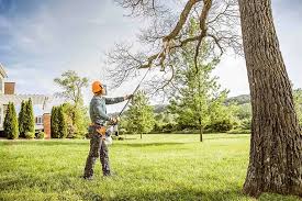 Best Root Management and Removal  in Pleasureville, PA