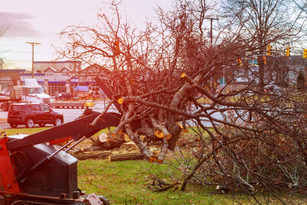 Best Firewood Processing and Delivery  in Pleasureville, PA